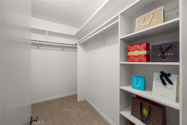 spacious closet featuring carpet