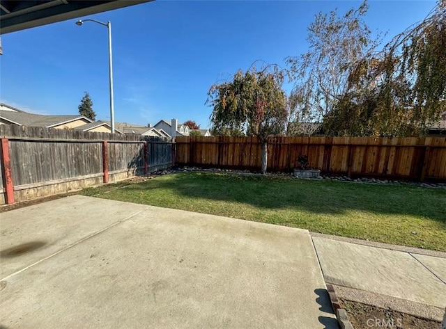 view of yard featuring a patio area