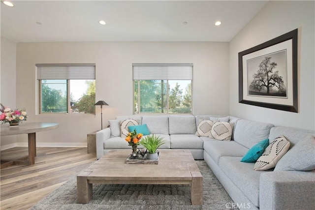 living room with lofted ceiling and wood-type flooring