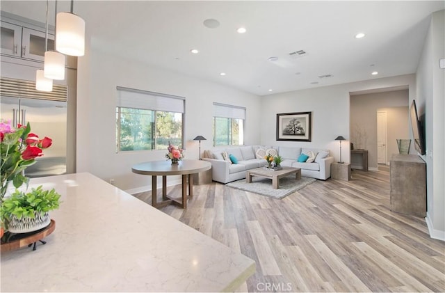 living room featuring hardwood / wood-style flooring