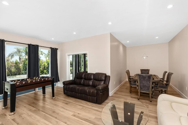 living room featuring light hardwood / wood-style flooring