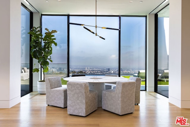 interior space featuring plenty of natural light, light hardwood / wood-style floors, and a wall of windows