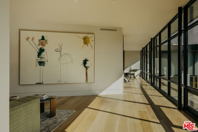 hallway featuring hardwood / wood-style floors