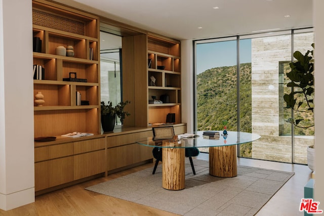 office area featuring light hardwood / wood-style flooring and a wall of windows