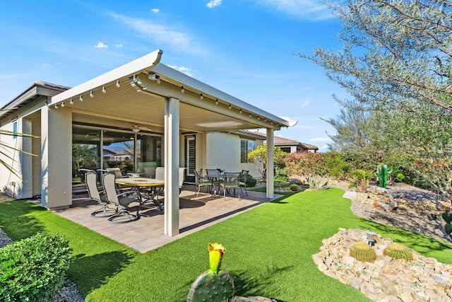 back of house with a patio area and a yard