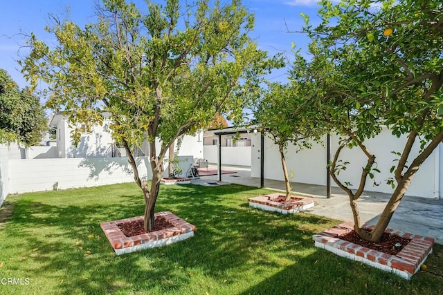 view of yard with a patio area