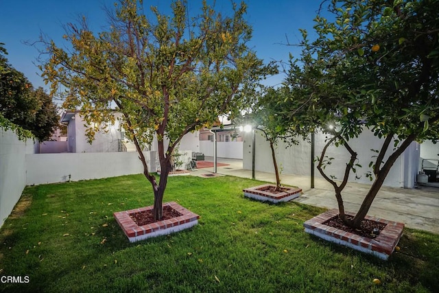 view of yard with a patio