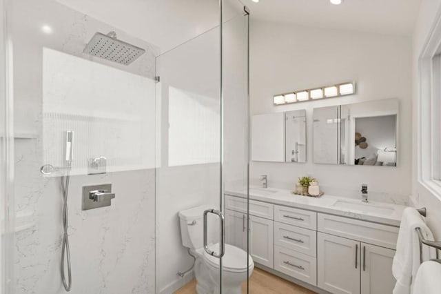 bathroom featuring vaulted ceiling, vanity, an enclosed shower, and toilet