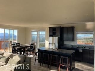 kitchen with dark cabinets, freestanding refrigerator, and plenty of natural light