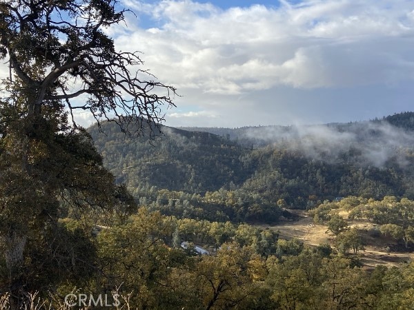 mountain view featuring a forest view