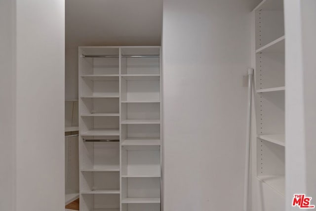 view of walk in closet