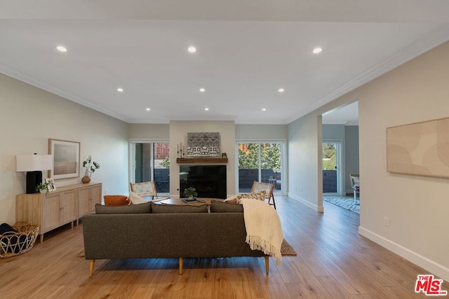 living room featuring crown molding and light hardwood / wood-style floors