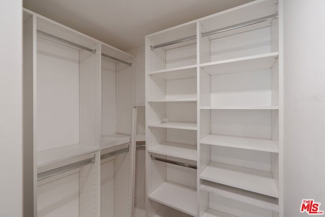 view of walk in closet