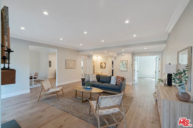 living room featuring crown molding and light hardwood / wood-style floors