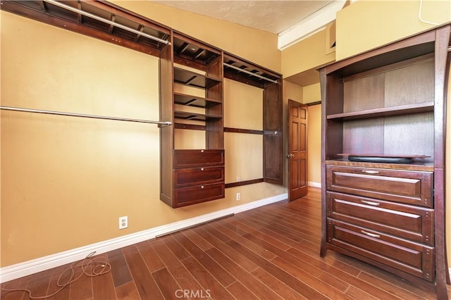 walk in closet with dark hardwood / wood-style floors