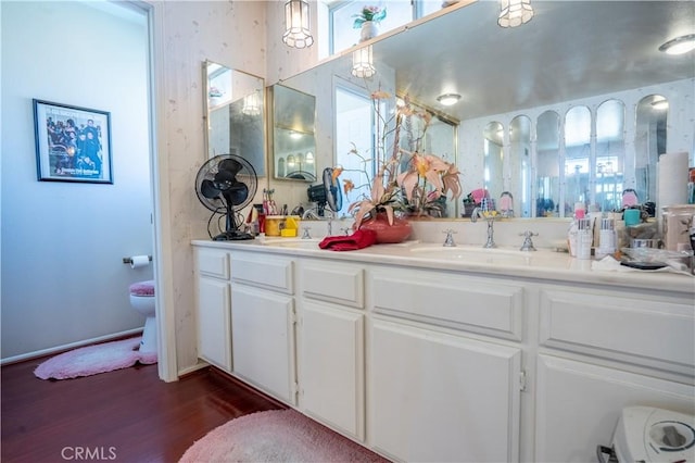 bathroom featuring wood-type flooring and vanity