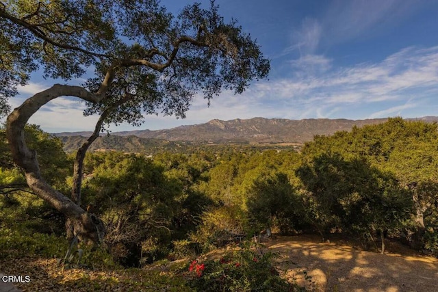 property view of mountains