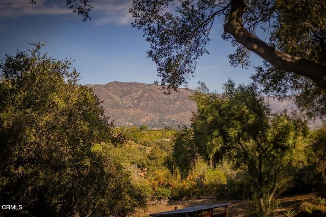 view of mountain feature