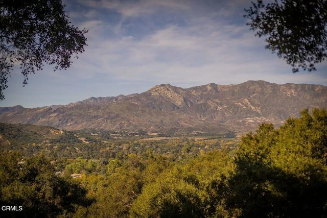 view of mountain feature