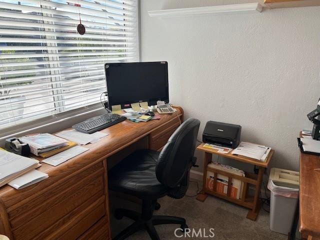 view of carpeted office space