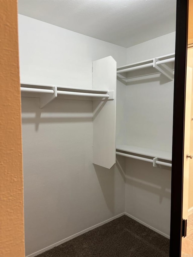 spacious closet with carpet floors