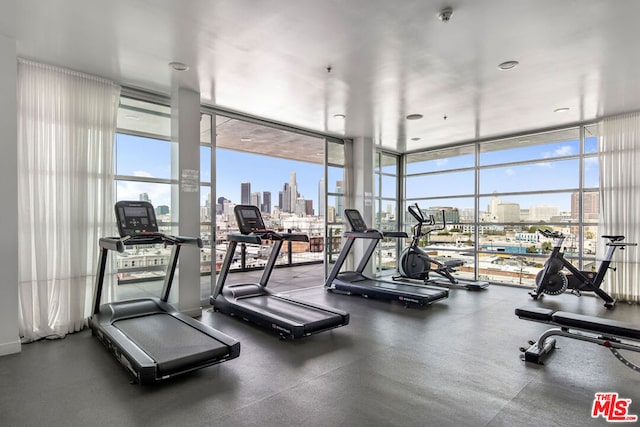 workout area with expansive windows