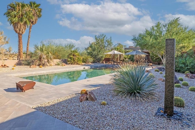 view of swimming pool with a patio