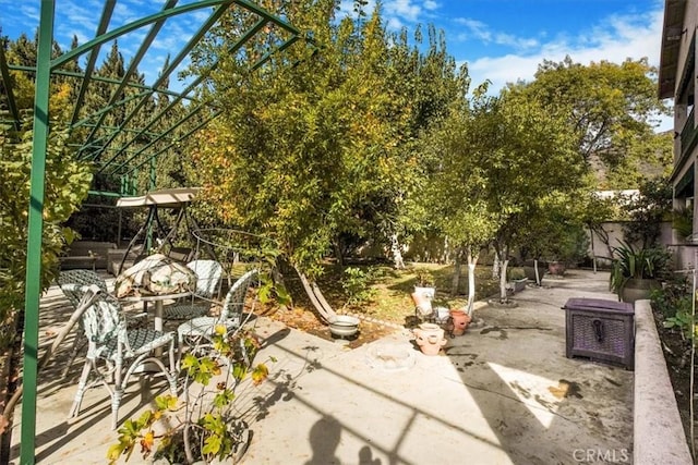 view of yard featuring a patio area