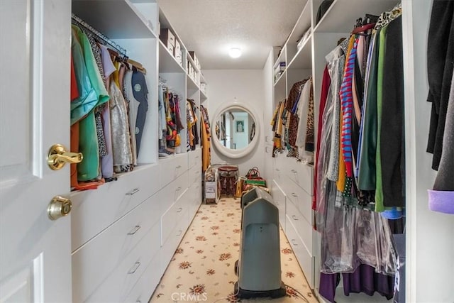 view of spacious closet