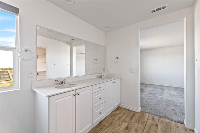 bathroom featuring vanity