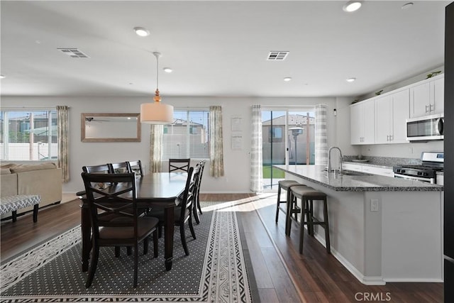 dining space featuring sink, dark hardwood / wood-style floors, and plenty of natural light