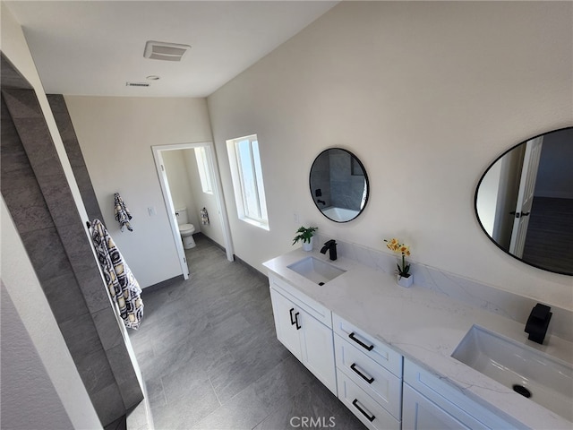 bathroom with toilet and vanity