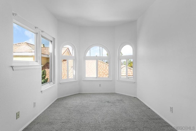 empty room with plenty of natural light and carpet