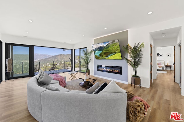 living room with light hardwood / wood-style floors