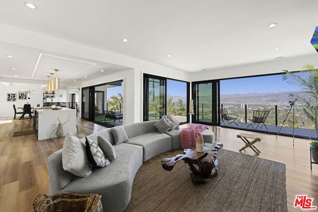 living room with a mountain view, light hardwood / wood-style floors, and sink