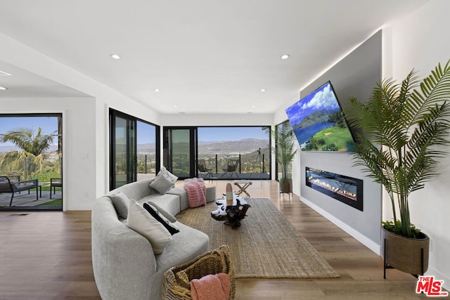 living room featuring wood-type flooring