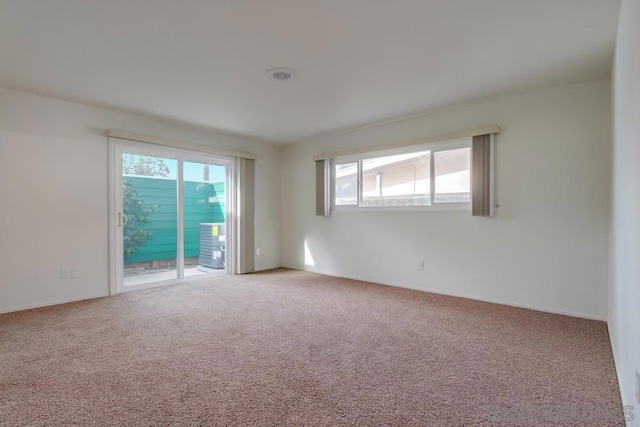 spare room featuring carpet floors