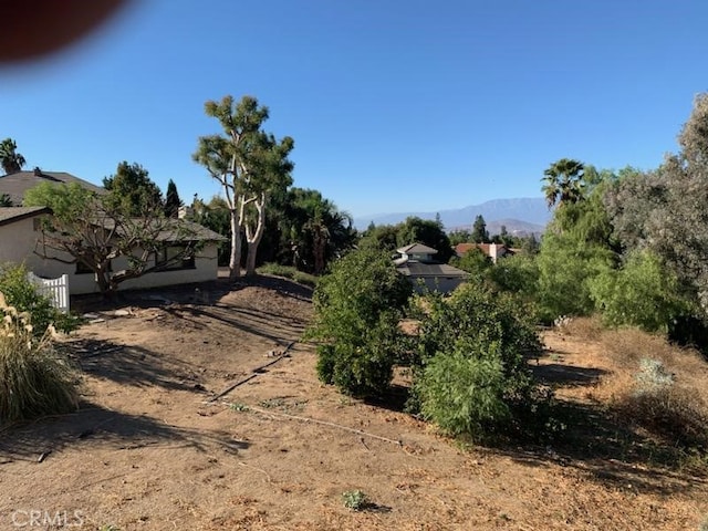 view of yard with a mountain view