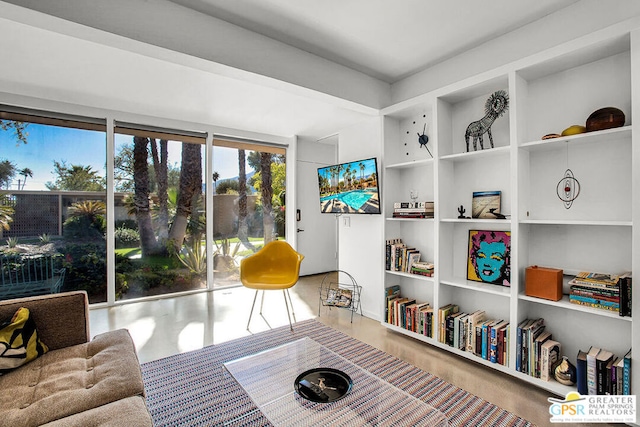 living area with built in shelves