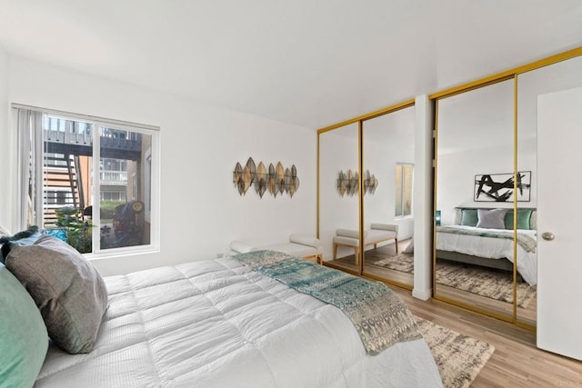 bedroom with multiple closets and light hardwood / wood-style flooring