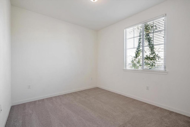 spare room with carpet floors