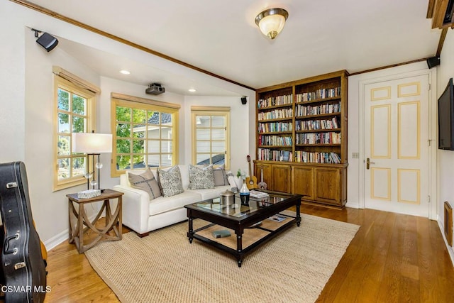 living room featuring wood-type flooring