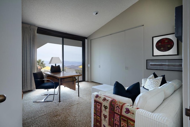 home office featuring light carpet, a textured ceiling, and lofted ceiling