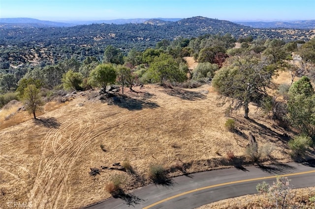 Listing photo 2 for 0 Lookout Mountain Dr, Coarsegold CA 93614