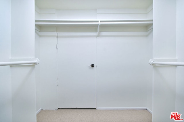 spacious closet featuring light colored carpet