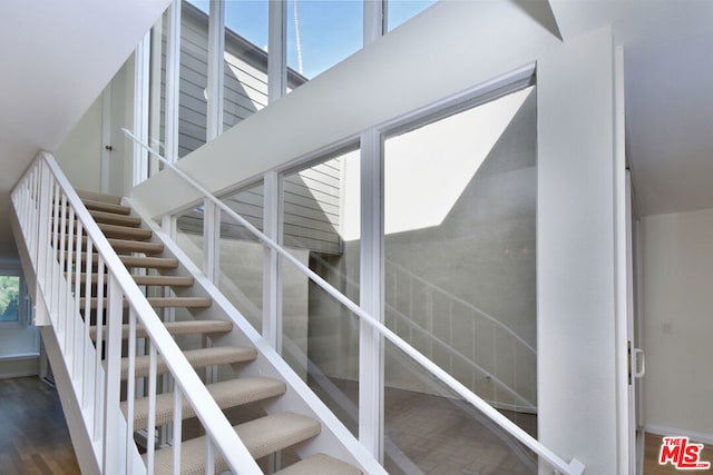 stairs featuring wood-type flooring and a healthy amount of sunlight