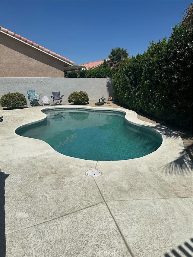 view of swimming pool featuring a patio