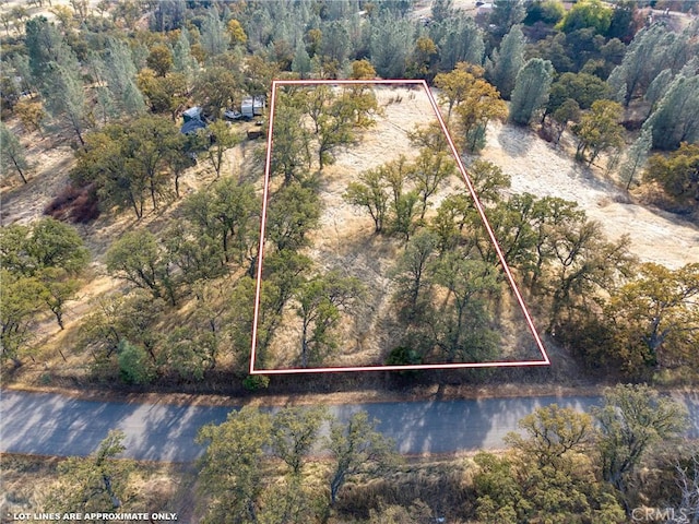 Listing photo 3 for 17333 Wagon Wheel Rd, Corning CA 96021