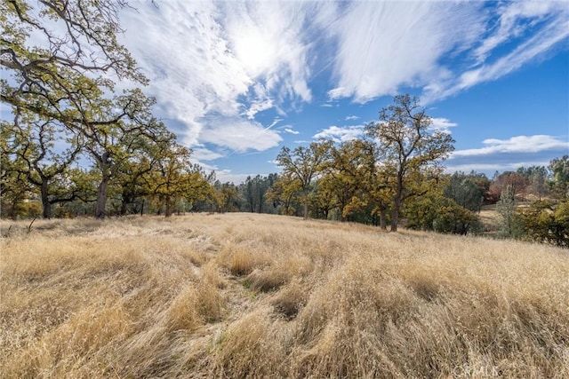 Listing photo 2 for 17333 Wagon Wheel Rd, Corning CA 96021