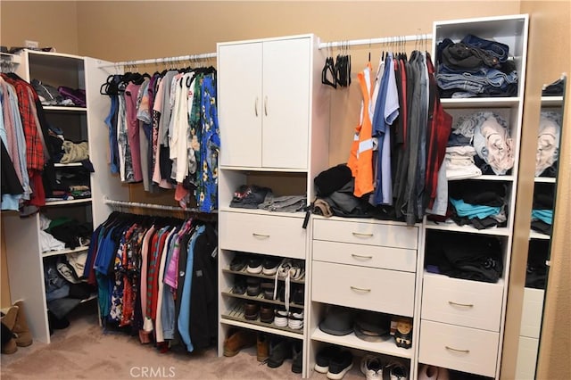 spacious closet with light colored carpet